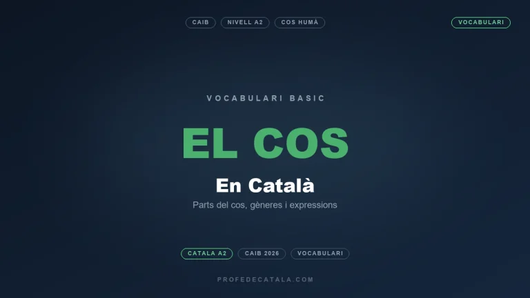 Les parts del cos en català