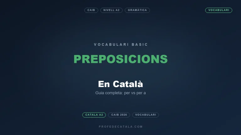 Les preposicions en català: guia completa
